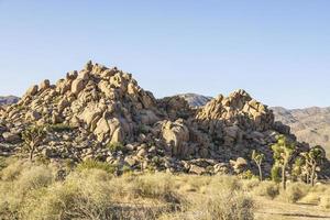 paesaggio roccioso in mezzo al deserto foto