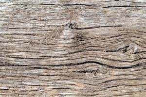 bella frattura di legno vecchia quercia, struttura naturale da vicino foto