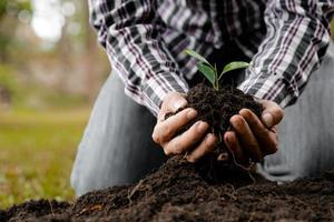 un uomo sta piantando alberelli nel terreno in una foresta tropicale, piantando un albero sostitutivo per ridurre il riscaldamento globale. il concetto di salvare il mondo e ridurre il riscaldamento globale. foto