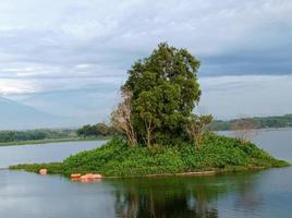 piccola isola verde foto