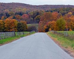 strada di campagna in autunno foto