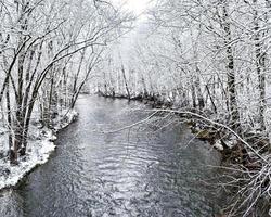 fiume in inverno foto