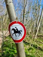 cartello di divieto per cavalli e cavalieri legati ad un albero in una foresta. foto