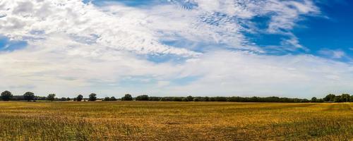 bellissimo panorama ad alta risoluzione di un paesaggio con campi ed erba verde trovato in Danimarca e Germania. foto