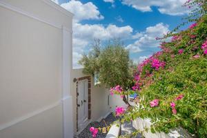 isola di santorini, grecia come sfondo del paesaggio di viaggio. bella architettura bianca romantica, fiori rosa e vista mare. vacanze estive, meta per le vacanze di coppia. incredibile viaggio panoramico foto