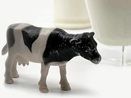 mucca e latte per la foto della giornata mondiale del latte