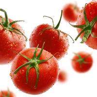 pomodori rossi levitano su uno sfondo bianco foto