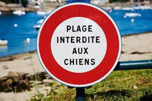 cartello francese al porto di Benodet, plage interdite aux chiens significa che i cani non sono ammessi sulla spiaggia foto