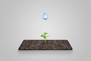 goccia d'acqua cade su una pianta che cresce dal display di un telefono. concetto di irrigazione automatica con l'aiuto della tecnologia foto