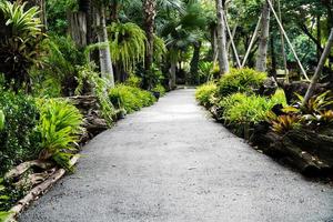 lungo la passerella ci sono molti tipi di alberi foto