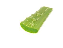 foglie fresche di aloe vera isolate su sfondo bianco foto