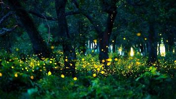lucciola che vola nella foresta. lucciole nella boscaglia di notte a prachinburi, tailandia. bokeh luce di lucciola che vola nella foresta di notte. le foto a lunga esposizione di notte hanno rumore, messa a fuoco selettiva.