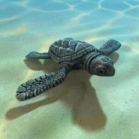 Tartaruga di mare 3D bambino foto
