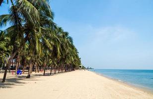 paesaggio estate panorama vista frontale tropicale palme e palme da cocco mare spiaggia blu bianco sabbia cielo sfondo calma natura oceano bellissimo onda acqua viaggio bangsaen spiaggia tailandia orientale chonburi foto