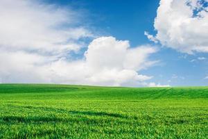 un grande prato sullo sfondo è il cielo. concetto di immagine di sfondo della natura foto