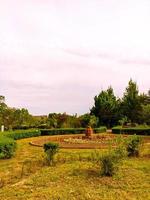 giardino botanico in primavera, bellezza nella natura. foto