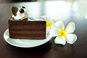 torta al cioccolato foto