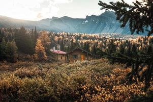 capanne di legno e sole nella foresta autunnale al mattino al parco provinciale di assiniboine foto