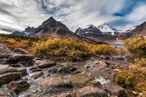 il monte assiniboine con il ruscello che scorre nel deserto dorato del parco provinciale foto