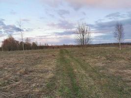 strada primaverile attraverso il campo fino al fiume foto