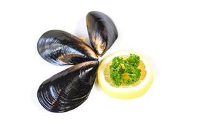 cozze isolati su sfondo bianco - guscio di cozza verde con prezzemolo e limone foto