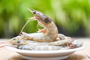 gamberetti crudi su piatto bianco per cucinare con sfondo verde naturale, primi piani gamberetti o gamberi freschi, frutti di mare foto