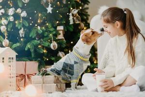 adorabile ragazza con coda di cavallo, tiene il naso insieme al suo animale domestico preferito, beve latte fresco dal bicchiere, siede gambe incrociate sul pavimento con albero di natale e scatole regalo intorno. ultimi preparativi. foto