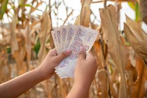 i coltivatori di mais detengono banconote tailandesi. il concetto di profitto dal commercio. foto