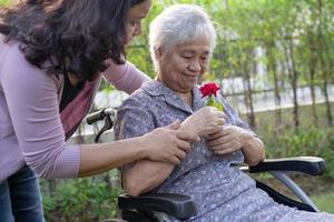 figlia del caregiver abbraccia e aiuta asiatica anziana o anziana signora anziana che tiene una rosa rossa su sedia a rotelle nel parco. foto