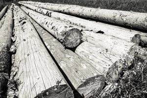 bella vista della pila di legno di abete segato foto