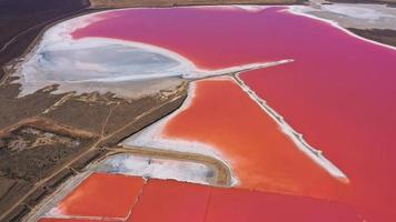 drone aereo foto dall'alto in basso di un lago rosa naturale e costa genichesk, ucraina. il lago diventa naturalmente rosa a causa dei sali e dell'artemia dei piccoli crostacei nell'acqua. questo miracolo è raro