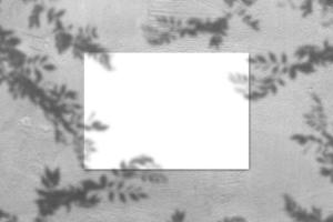mockup poster rettangolare orizzontale bianco vuoto con ombra leggera su sfondo grigio muro di cemento. foto