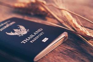 concetto di piano di viaggio passaporto foto