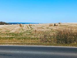 pagliaio o paglia di fieno. fieno di erba secca falciato in pila sul campo dell'azienda agricola foto