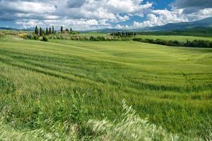 terreni agricoli in val d'orcia toscana foto