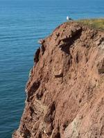 isola di Helgoland nel mare del nord foto