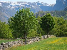 il piccolo villaggio eidfjord nell'hardangerfjord norvegese foto