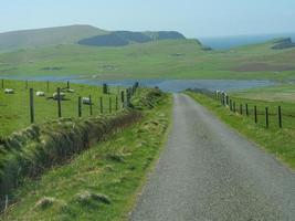 le isole Shetland in Scozia foto