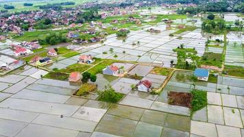 incredibile paesaggio di risaie foto