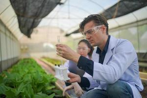 agronomo agricoltore ispettore di qualità azienda stanno raccogliendo dati in serra controllando la qualità delle verdure nell'azienda agricola biologica. foto