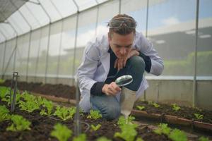 agronomo agricoltore ispettore di qualità azienda stanno raccogliendo dati in serra controllando la qualità delle verdure nell'azienda agricola biologica. foto