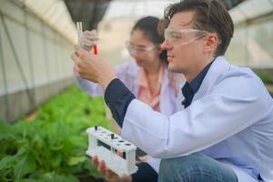 agronomo agricoltore ispettore di qualità azienda stanno raccogliendo dati in serra controllando la qualità delle verdure nell'azienda agricola biologica. foto