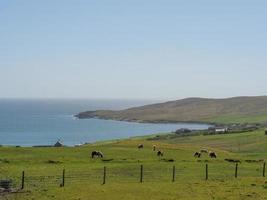 le isole Shetland in Scozia foto