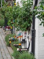 schleswig città con il villaggio di leccio foto