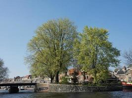 la città di haarlem nei Paesi Bassi foto