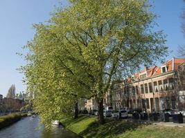 haarlem nei Paesi Bassi foto