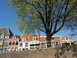 la città di haarlem nei Paesi Bassi foto