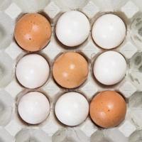 uovo in una cassa di uova su sfondo bianco foto