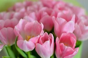 bouquet di fiori di tulipani con tulipani rosa in carta verde foto