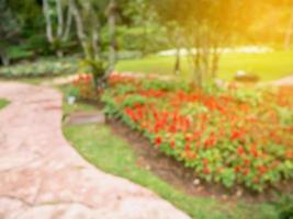 passerella nel giardino di fiori sfocatura dello sfondo foto